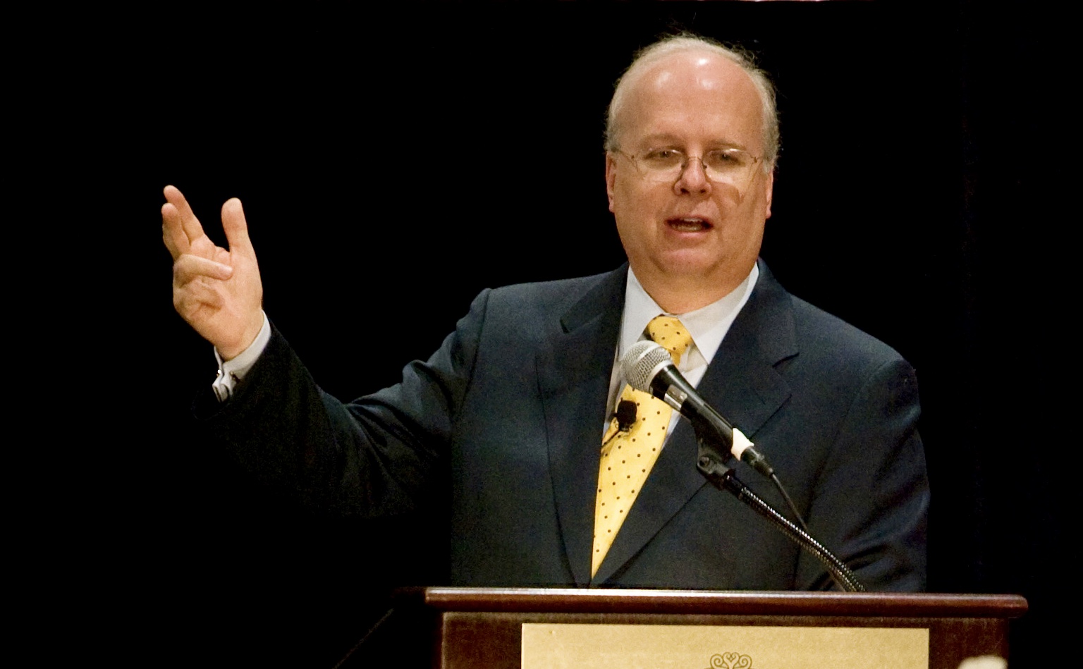 <p><strong>Karl Rove is a foremost voice on election cycles</strong></p>