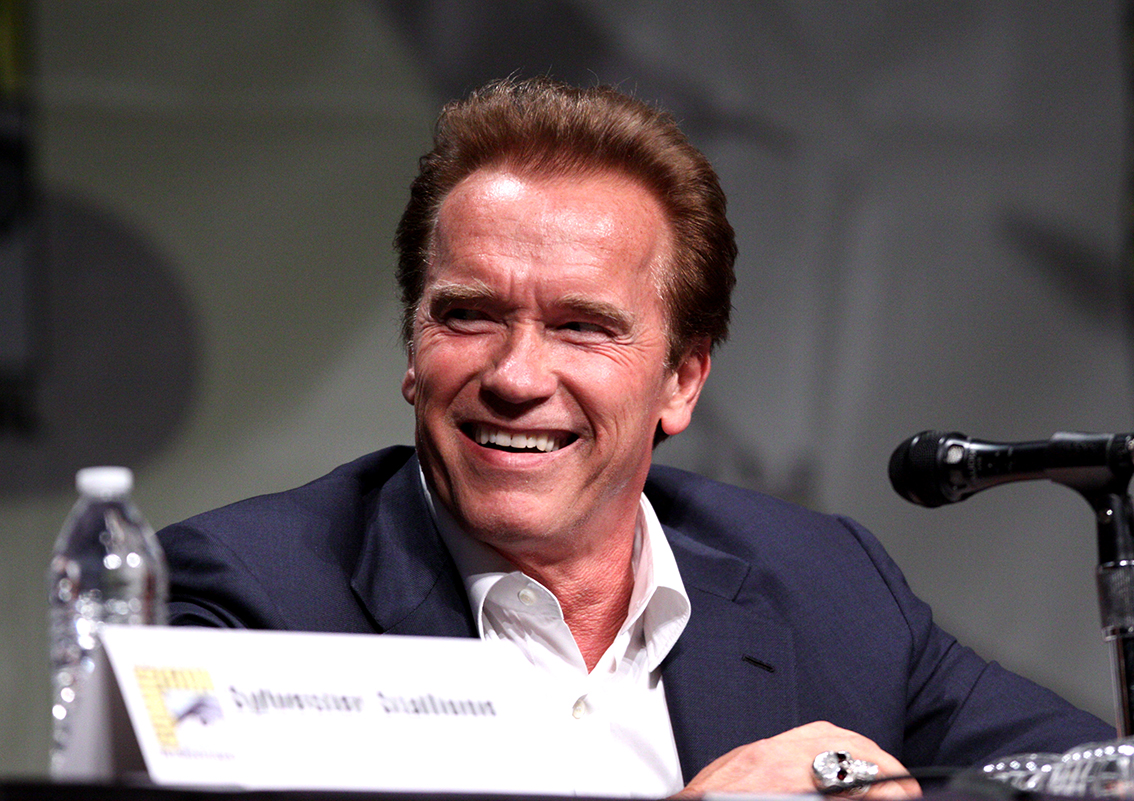 Arnold Schwarzenegger photo 2