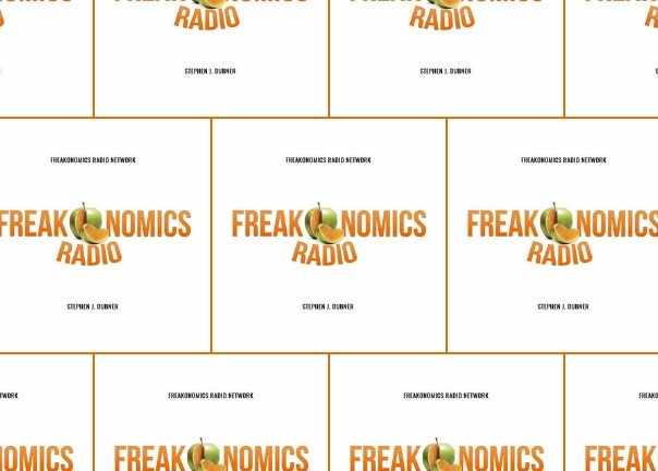 <p>Stephen Dubner hosts 'Freakonomics Radio'</p>