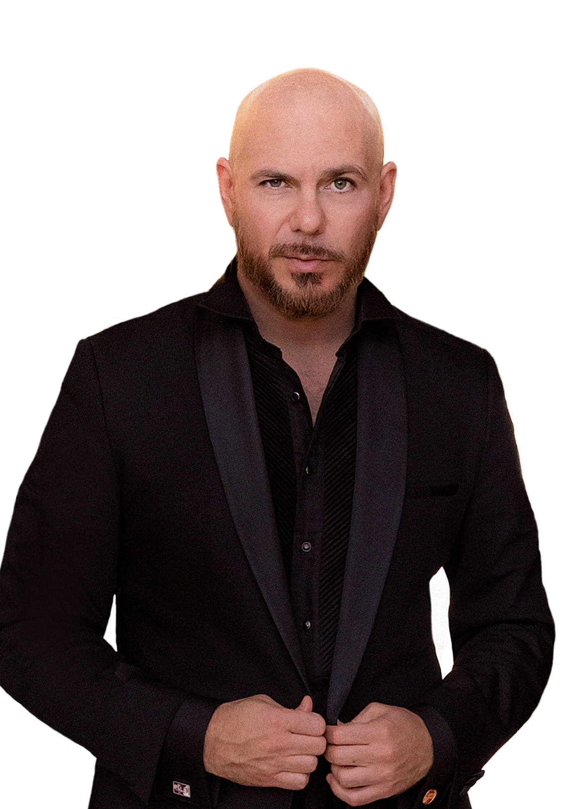 Pitbull
