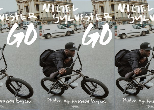 <p><strong>Nigel Sylvester’s innovative storytelling creates global reach</strong></p>
